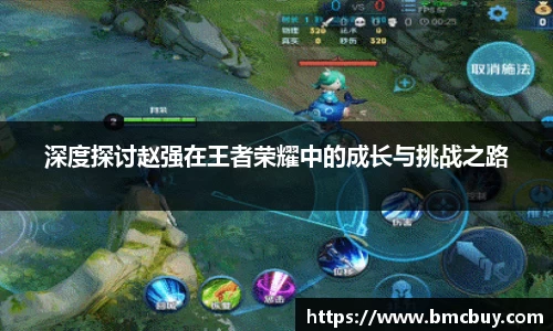 深度探讨赵强在王者荣耀中的成长与挑战之路