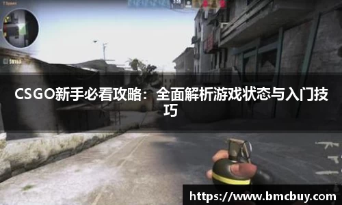 CSGO新手必看攻略：全面解析游戏状态与入门技巧