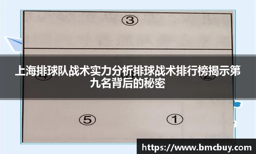 上海排球队战术实力分析排球战术排行榜揭示第九名背后的秘密